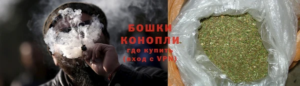трава Коряжма