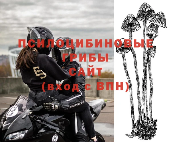 альфа пвп Краснослободск
