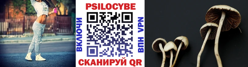 Псилоцибиновые грибы Cubensis  Купить где  Великий Устюг 